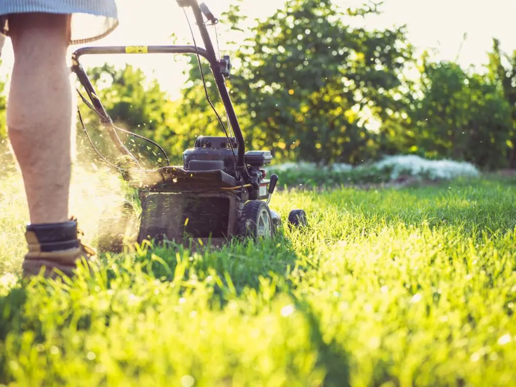 man mowing lawn