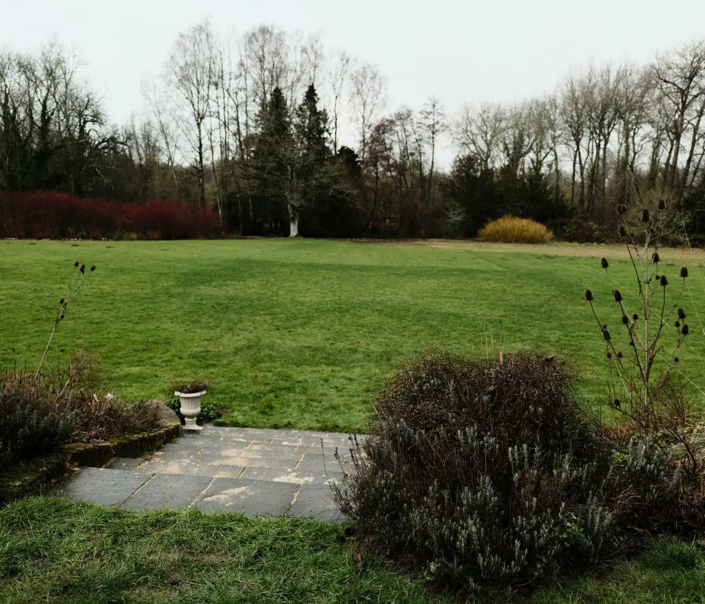 Lawn in a garden in winter NZ